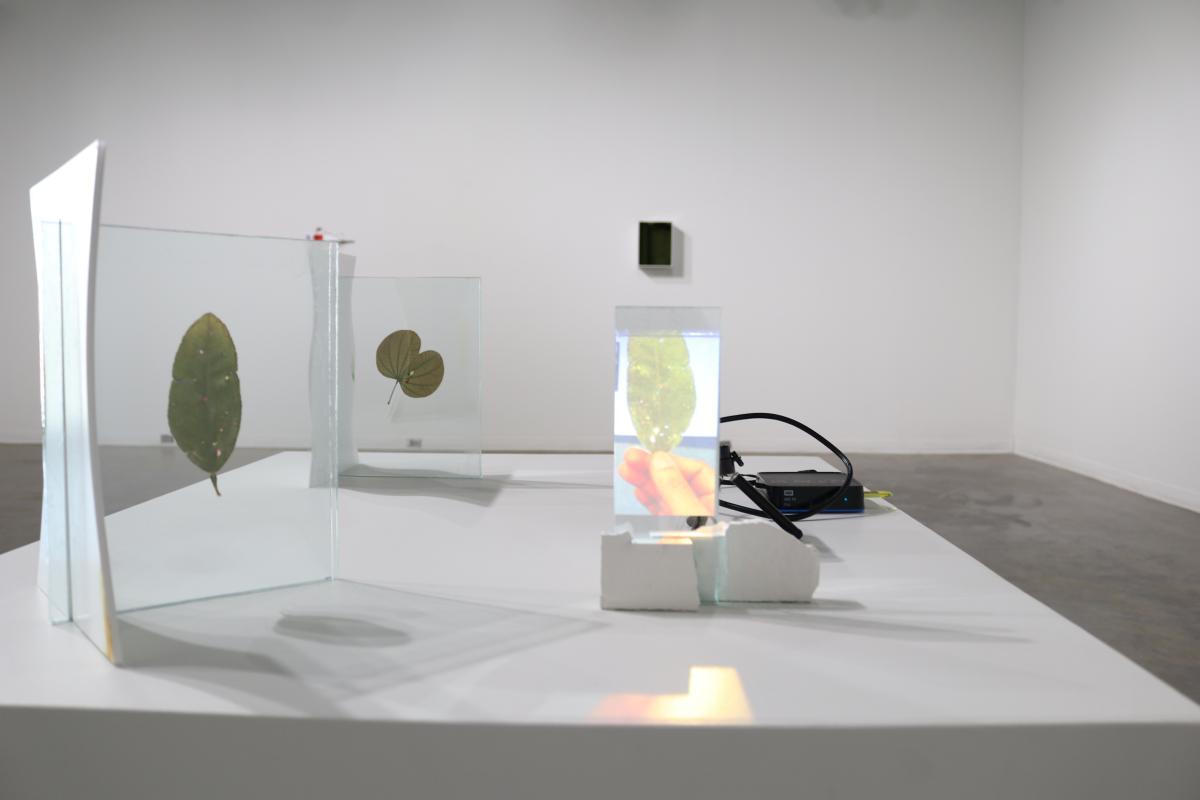 Christian Camacho: In Conversation