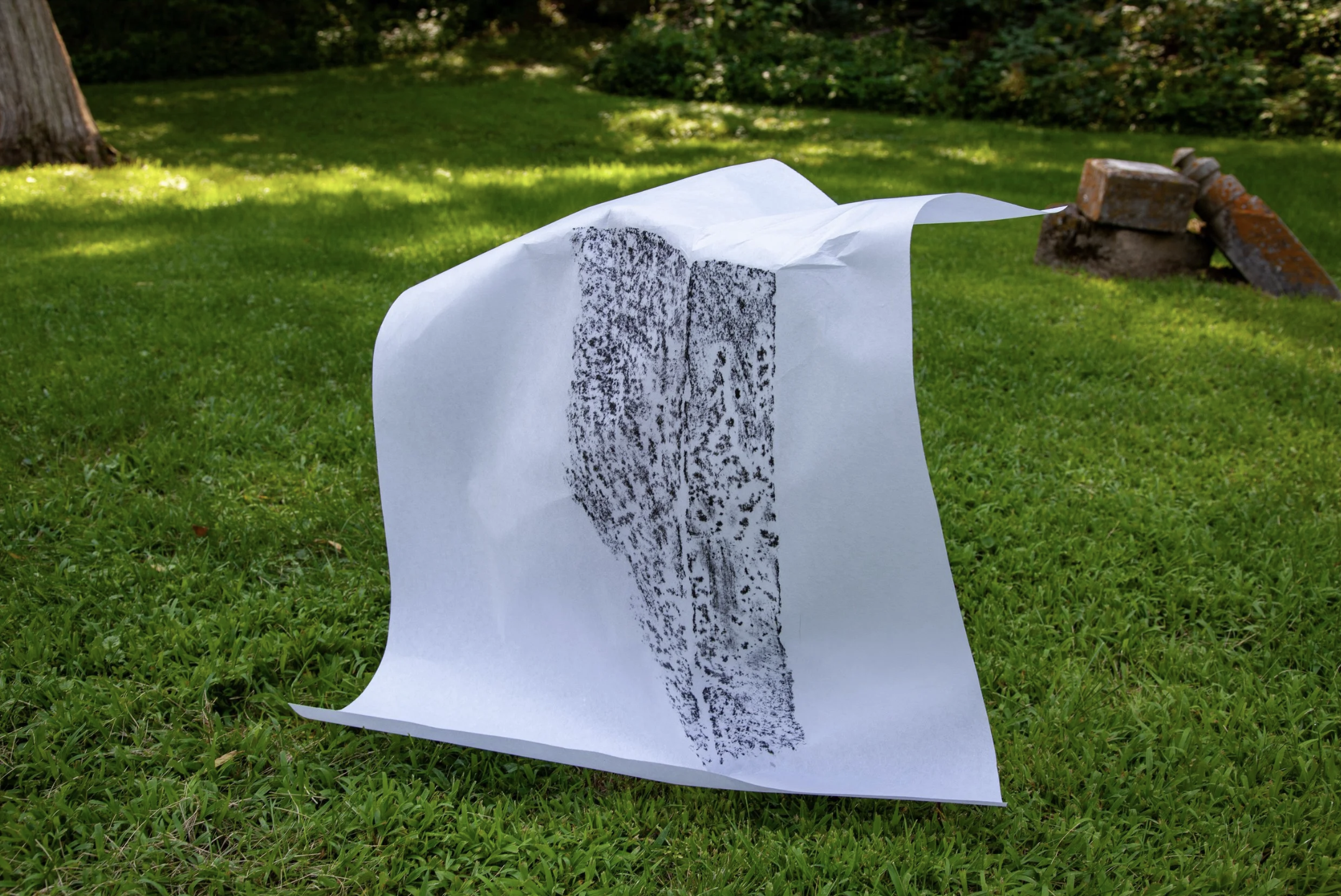 White paper with black marks placed against grass