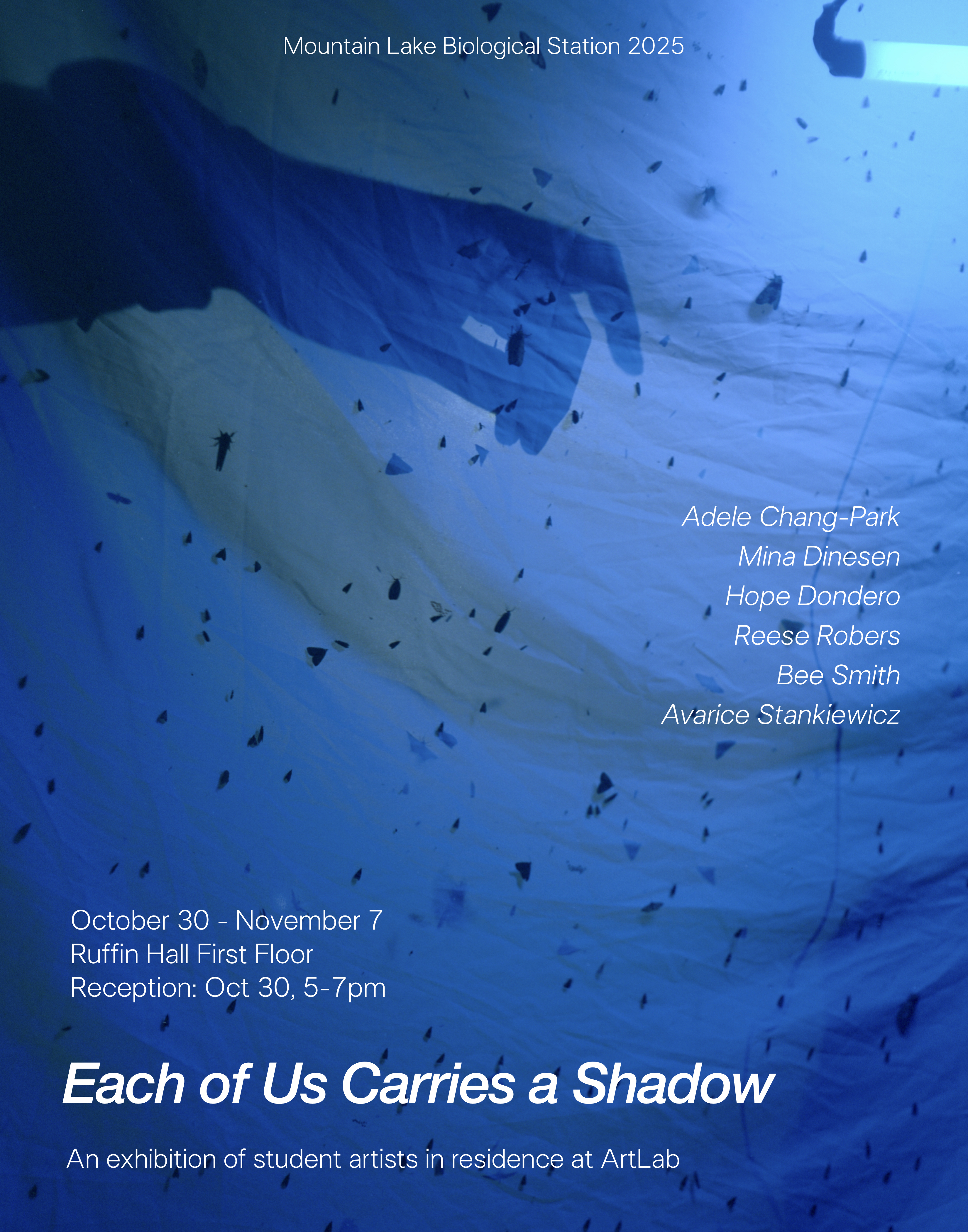 blue backdrop with the shadow of a hand