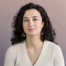 Anastasia Dakouri-Hild