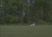 Applications now open for the Freeman Artist Residency, 2021-2022!